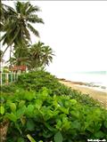 Los Almendros Beach - CAMUY